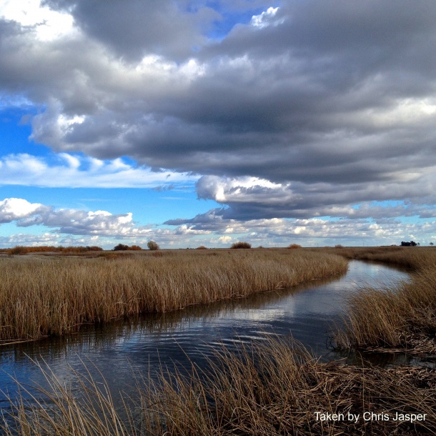 Suisun Marsh - Photo taken by Chris Jasper