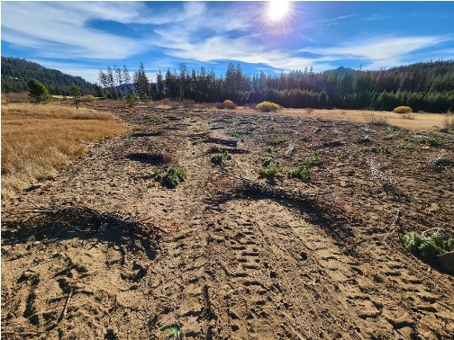 Post-restoration channel