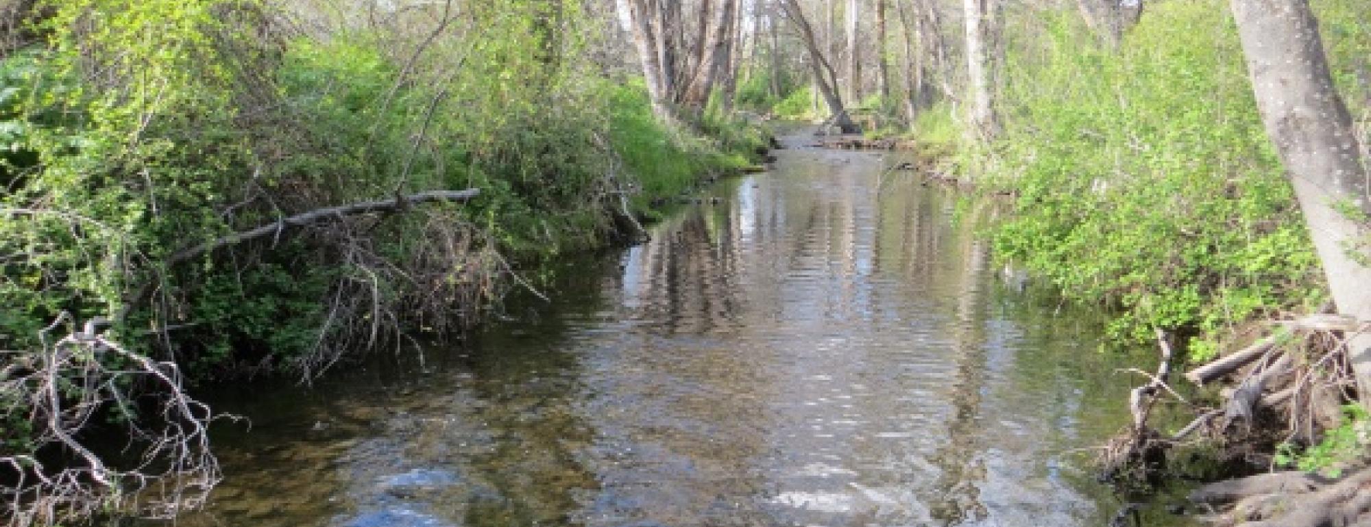 Little Shasta River