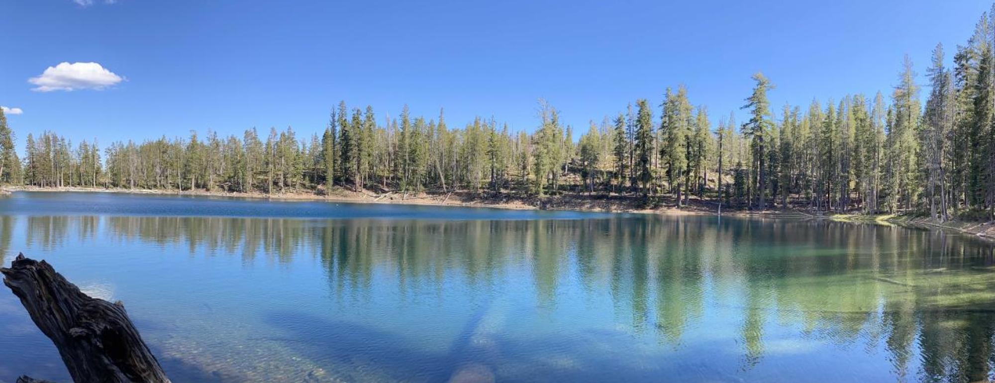 A mountain lake in the Caribou Wilderness, Sierra Nevada, California. Photo Credit: Christine Parisek 2020.