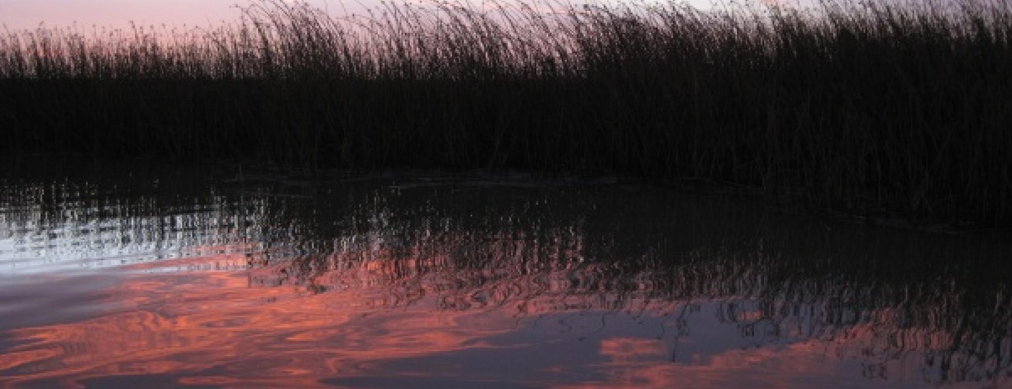 Wetlands at sunset