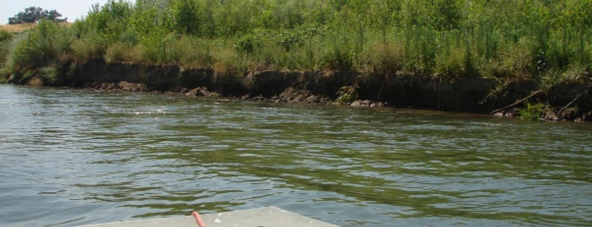 Sacramento River