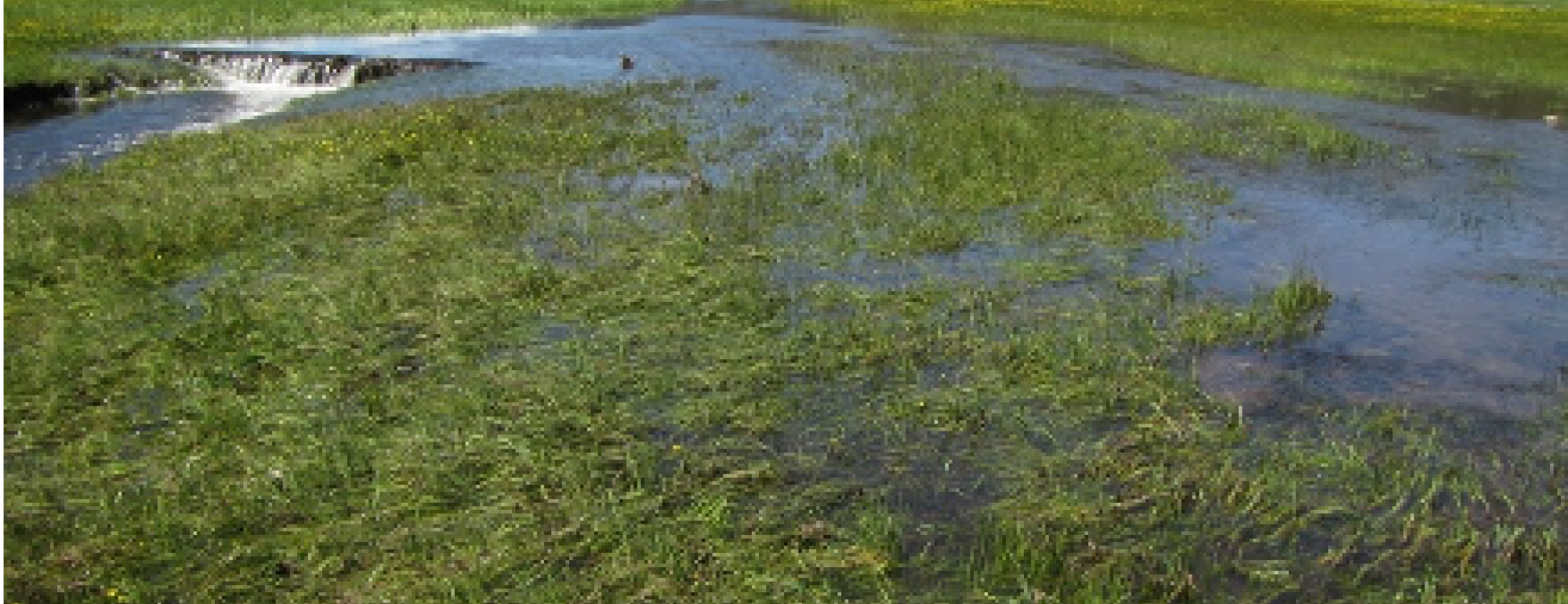 childs meadow BDA during spring flows