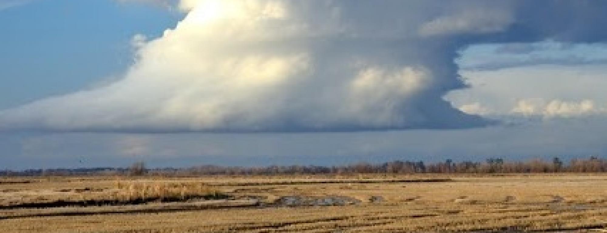 Yolo Bypass by Carson Jeffres