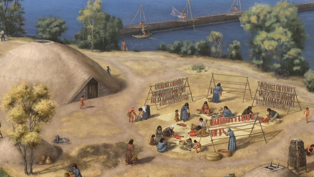 A recreation of a Maidu village during the fall and spring run harvesting season, 1850. This painting was constructed using archaeological reports, historical documents and consultations with the Estom Yumeka Maidu Tribe. Illustration curtesy of Kathryn Killackey, used with permission.