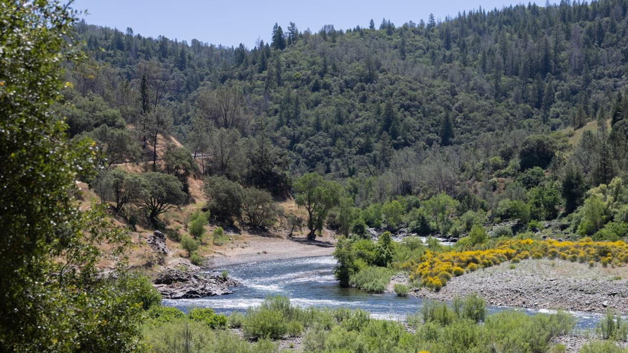 https://pixel-ca-dwr.photoshelter.com/search/result/I00006npmGt7Ait0?terms=american%20river&