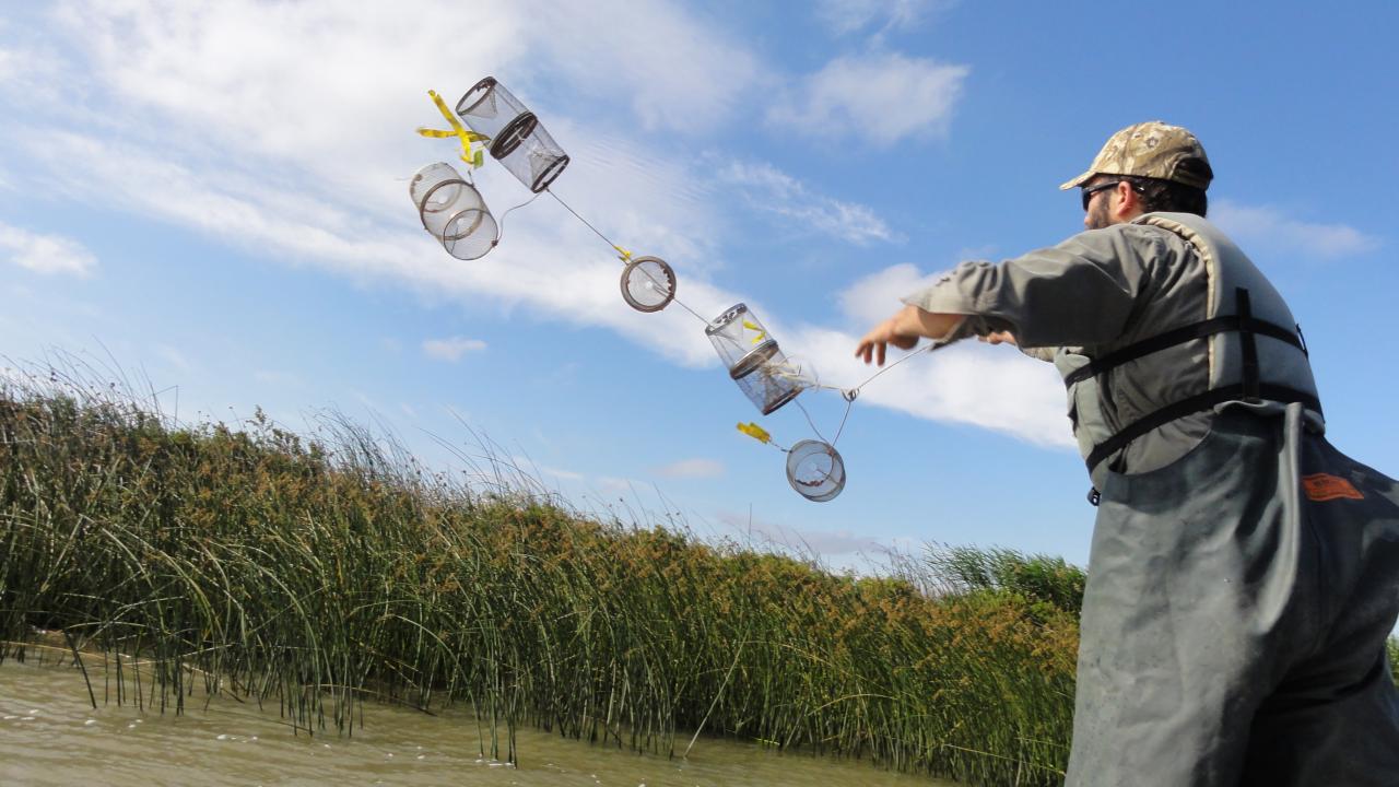 PC contributed by John Durand. Image: Person throwing a trap in the air toward the water; the image is taken such that the horizon is slanted and the in-action activity takes up most of the image. 