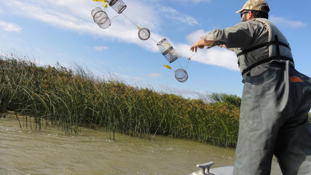 PC contributed by John Durand. Image: Person throwing a trap in the air toward the water; the image is taken such that the horizon is slanted and the in-action activity takes up most of the image. 