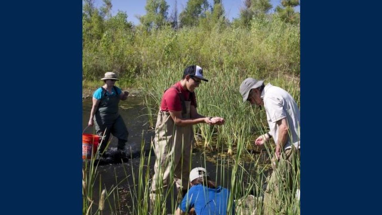 Scientists evaluating habitat conditions
