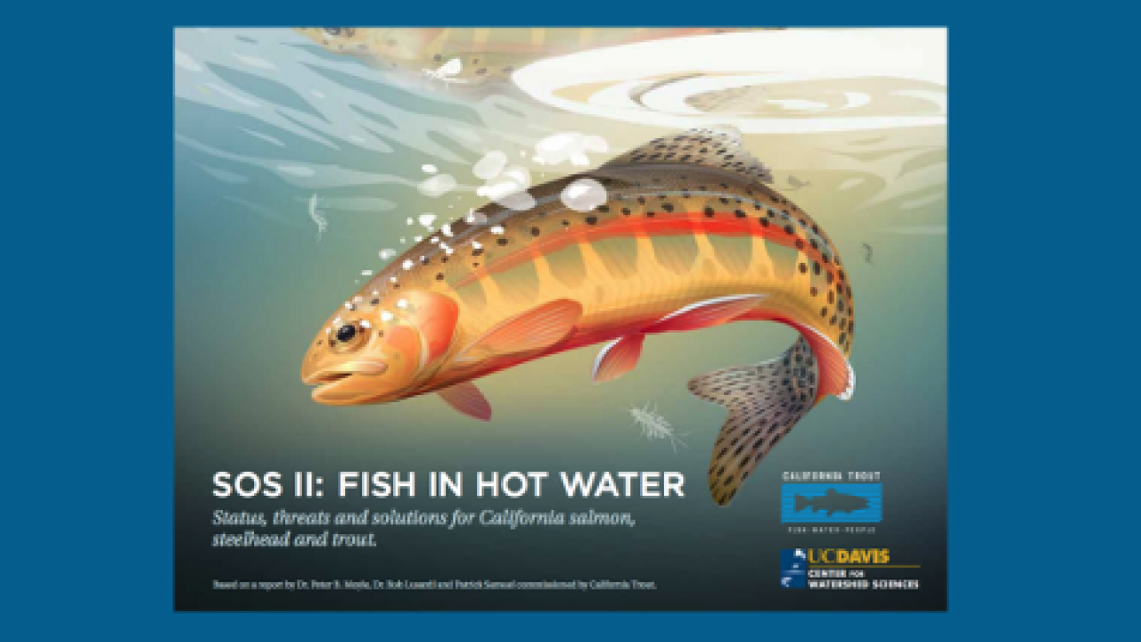SOS: State of the Salmonids II: Fish in Hot Water - blue background crop