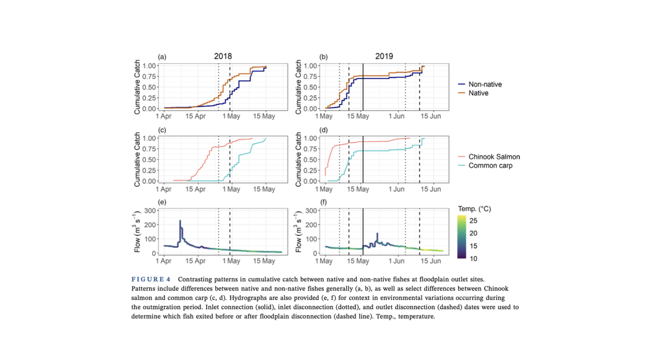 Fig from Ogaz et al 2022