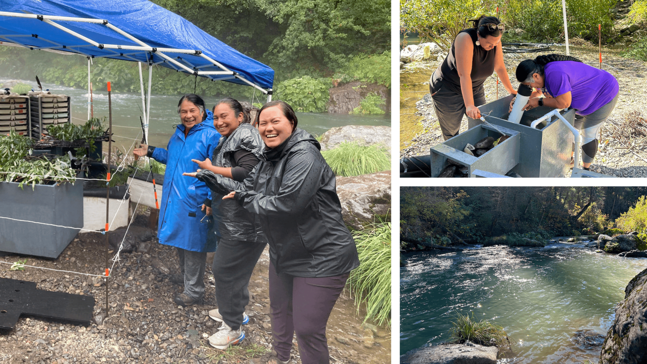 Three Winnemem Wintu fishery staff pose by the Nur Nature-Based incubation system. The setting is a damp wet forest beside a creek, mist is low. All three gesture towards the boxes while in the rain but the boxes under a rain cover.