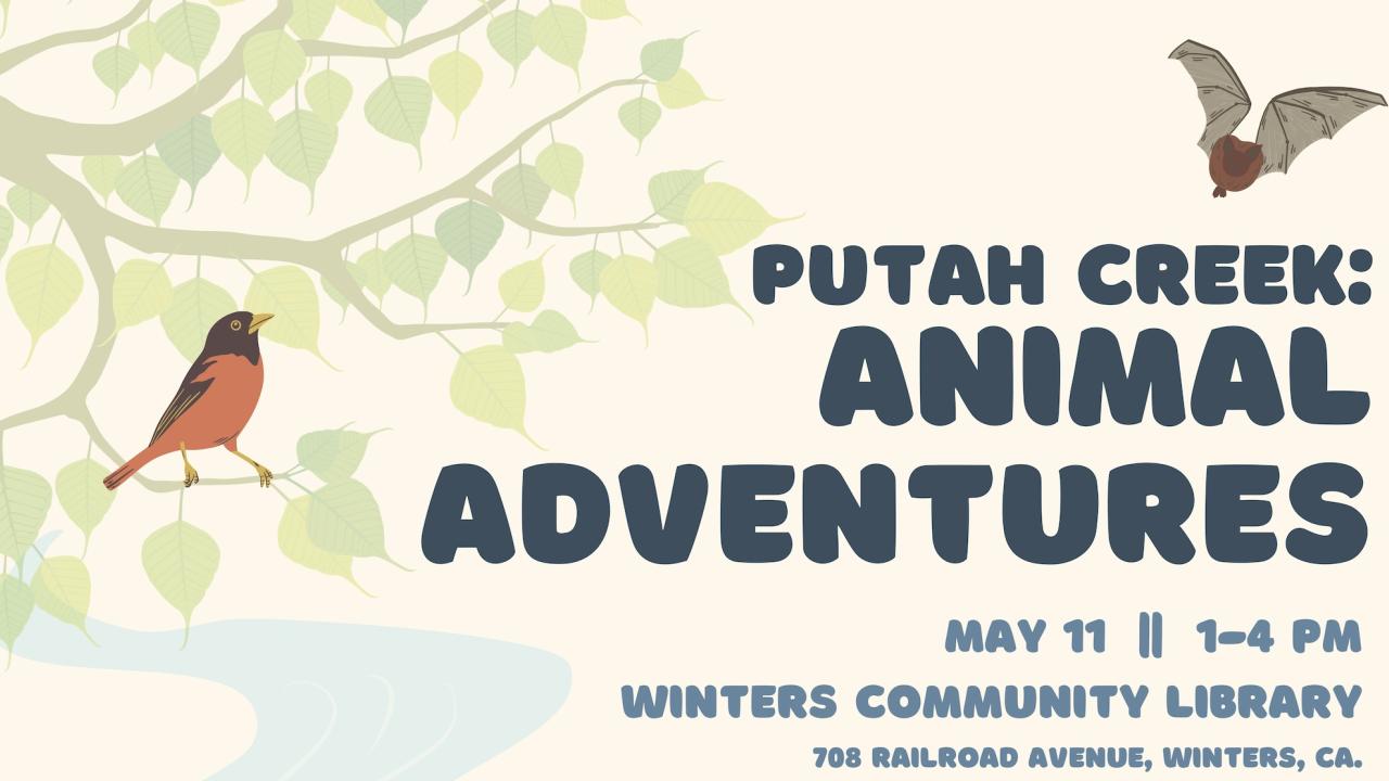 flyer crop stating the event is on May 11 at the Winter's Community Library from 1-4pm