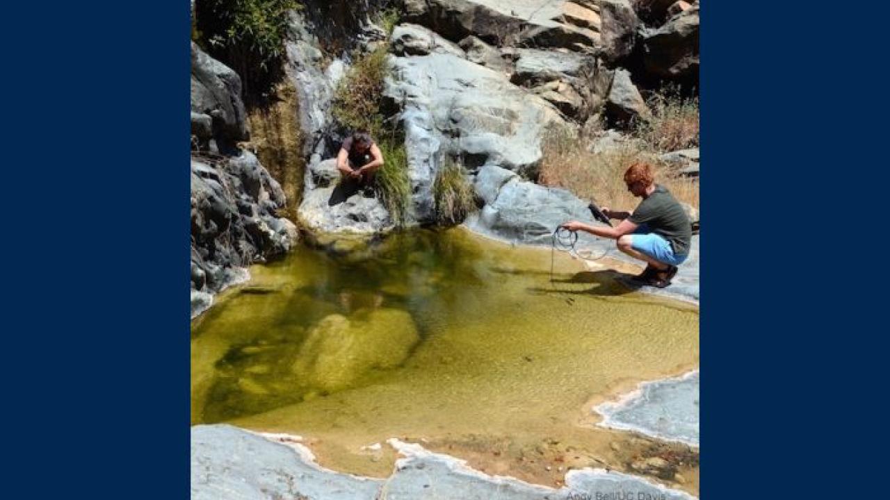 A creek experiencing drought