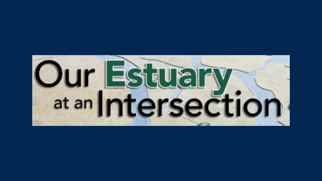 Our Estuary at an Intersection