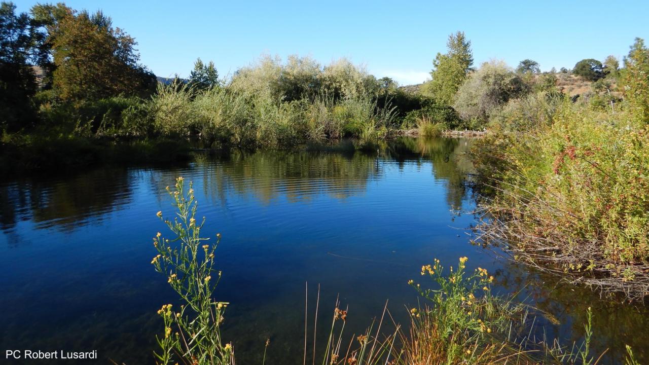 Sugar Creek BDA - Photo by Robert Lusardi