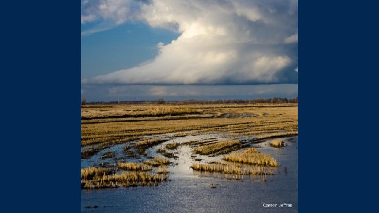 Floodplains