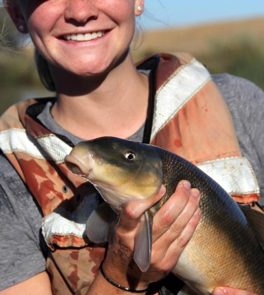 Profile image for Jennica Moffat
