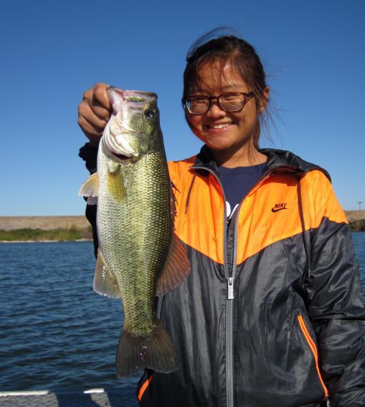 Profile image for Natasha Ekasumara
