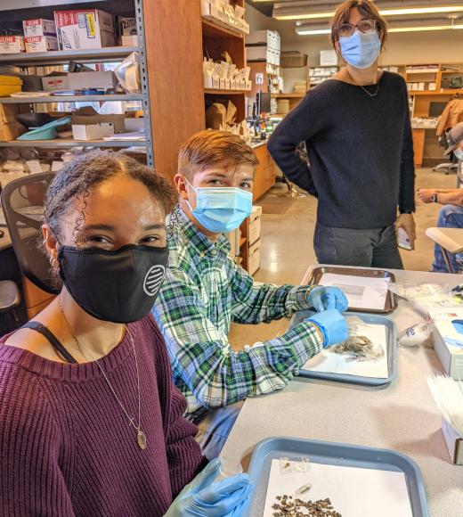 Center for Watershed Sciences researchers Kimberly Evans, Matt Emard and Flora Cordoleani separate otoliths from fish bones found in excavated middens. Photo credit: Malte Wilmes.