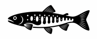 Black stylized fish graphic with white skeletal markings