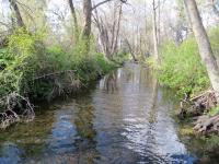 Little Shasta River