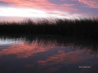Wetlands at sunset