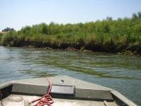 Sacramento River