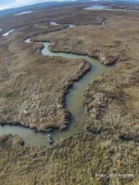 Suisun Marsh by Andy Bell