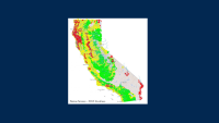 Patterns of native fish biodiversity