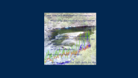 Image of code library
