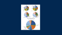 Pie Charts Agricultural Production, Water Use and Employment