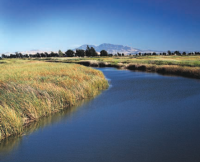 Image of river
