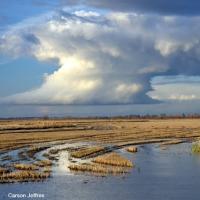 Yolo Bypass by Carson Jeffres