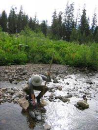 person squatting to sample a shallow creek for bugs