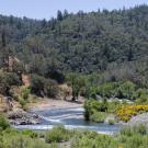 https://pixel-ca-dwr.photoshelter.com/search/result/I00006npmGt7Ait0?terms=american%20river&