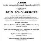 CABA Scholarship Flyer 2015
