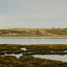 Levi Meir Clancy - Elkhorn Slough, seen from the Coast Starlight route of the Amtrak, in California - Unsplash.jpg