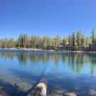 view of an unburned mountain lake