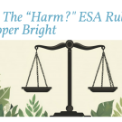 Topics: Administrative Law & Regulation • Environmental Law & Property Rights Sponsors: Energy & Environment Practice Group  Webinar